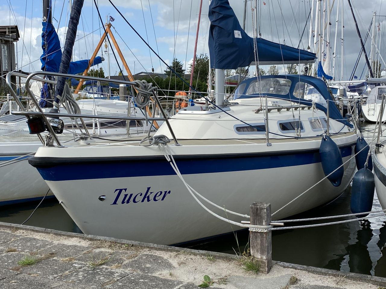 impliceren vermogen Mantel Hurley 800 Comfort - Tucker | Yachtcharter IJsselmeer | Friesland